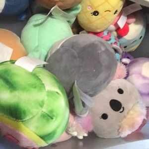 Squish mellows for sale